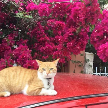 Hide Away In Discounts